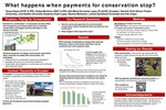 What Happens When Payments for Conservation Stop? by Tanya Hayes, Felipe Murtinho, Maria Fernanda Lopez, and Hendrik Wolf